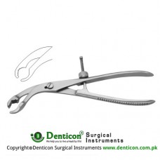 Bone Holding Forcep Self Centering - With Thread Fixation Stainless Steel, 15 cm - 6"